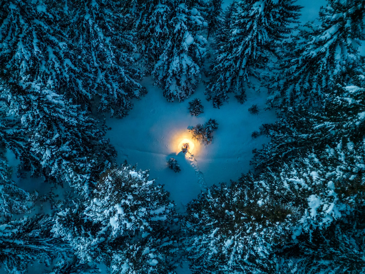 Lightening Heart of the Woods Poster och Canvastavla