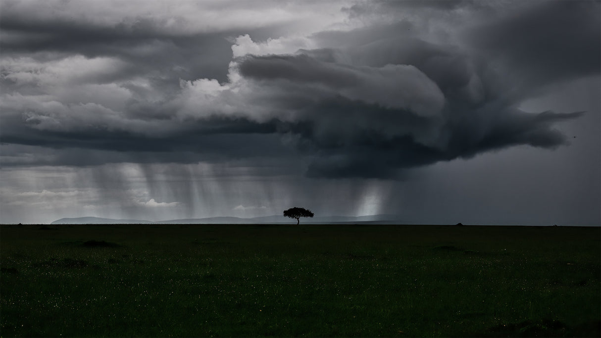 Storm is coming Poster och Canvastavla