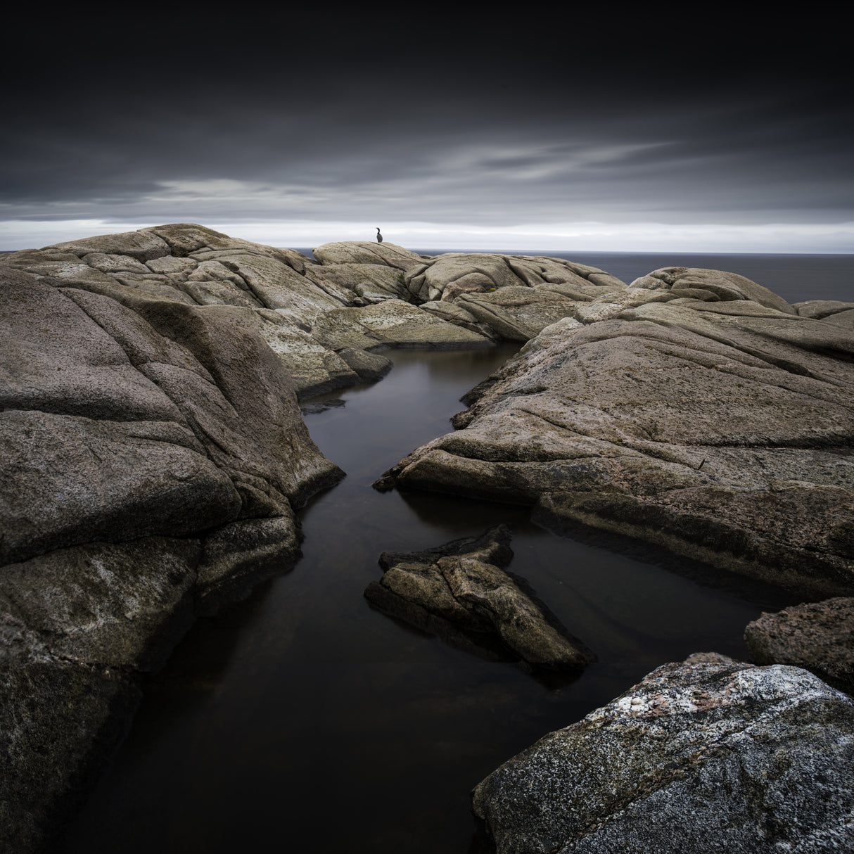 The Rocks And The Bird Poster och Canvastavla
