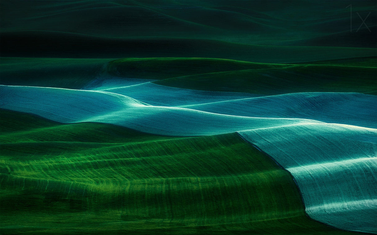 Twilight Palouse Poster och Canvastavla