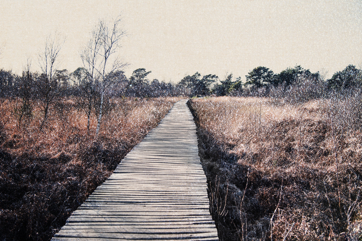 Nature reserve Poster och Canvastavla