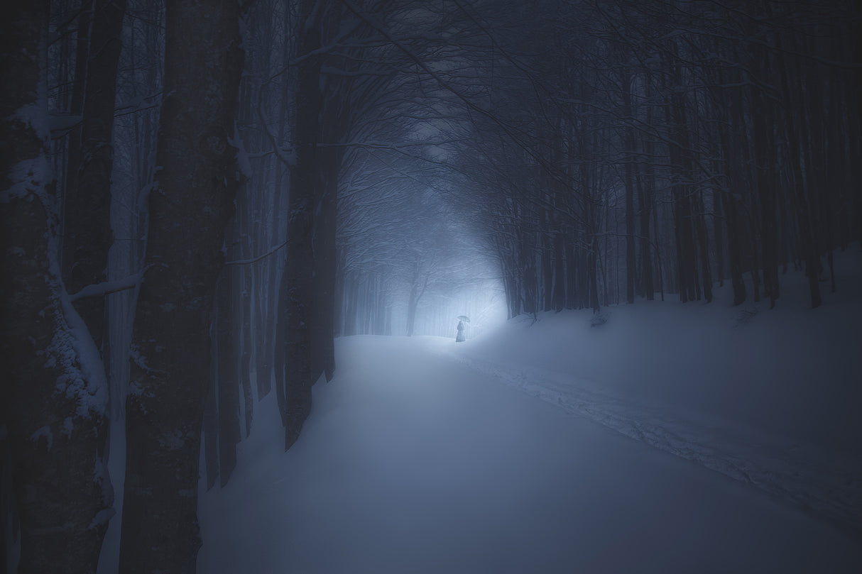 A WINTER NIGHT IN THE FOREST Poster och Canvastavla