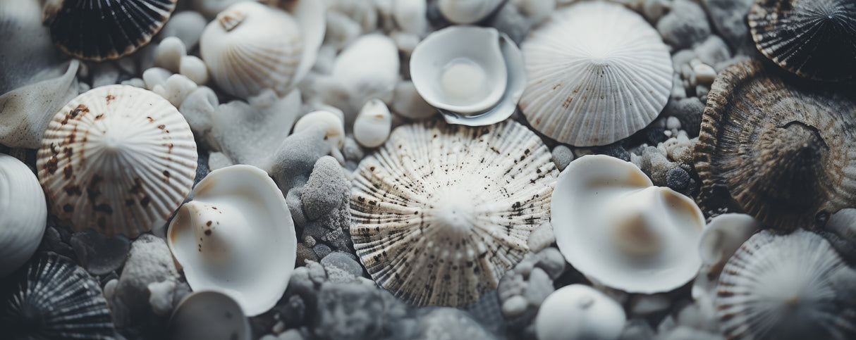 Beach Impressions No 24 Poster och Canvastavla