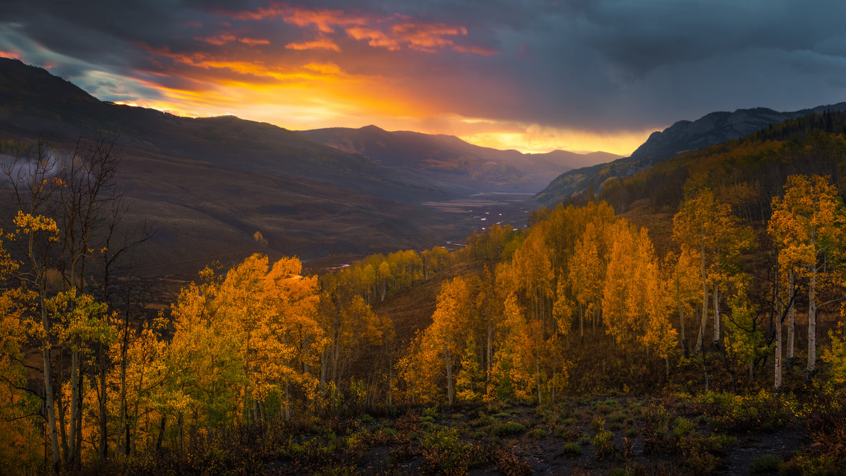 Autumn Glory Poster och Canvastavla
