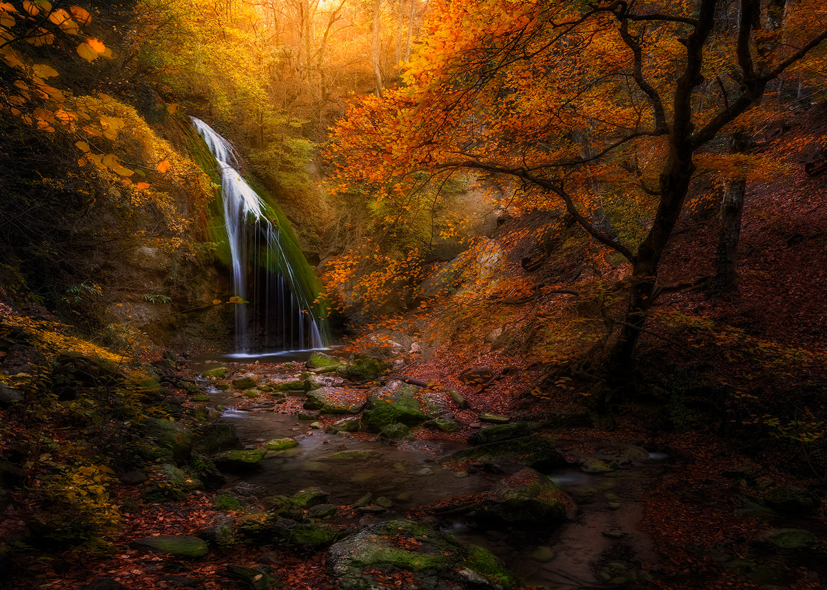 Djur-Djur waterfall Poster och Canvastavla