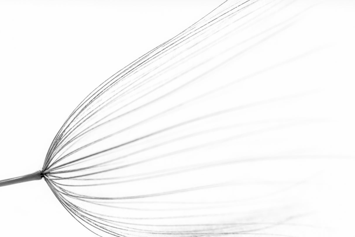 The big minimal Poster och Canvastavla