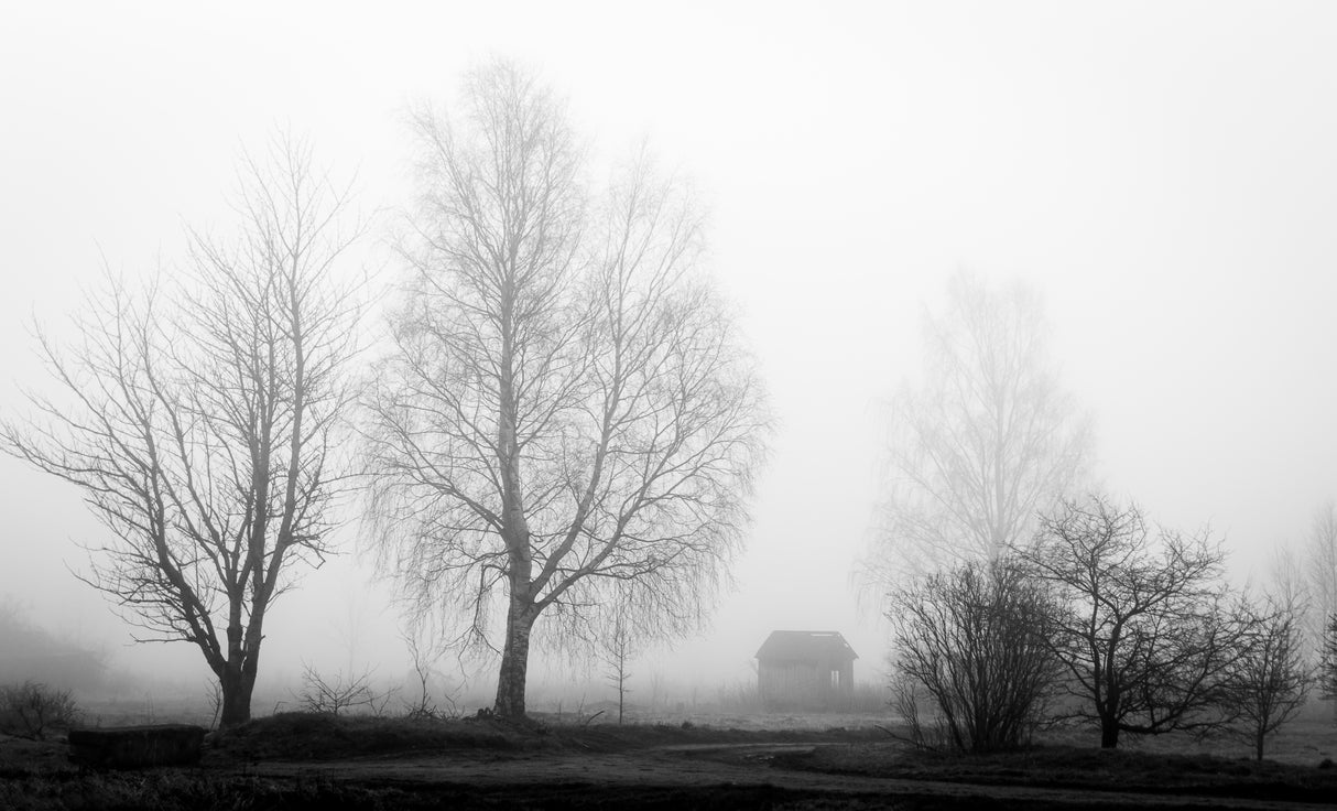 Morning fog in abandoned outskirts Poster och Canvastavla