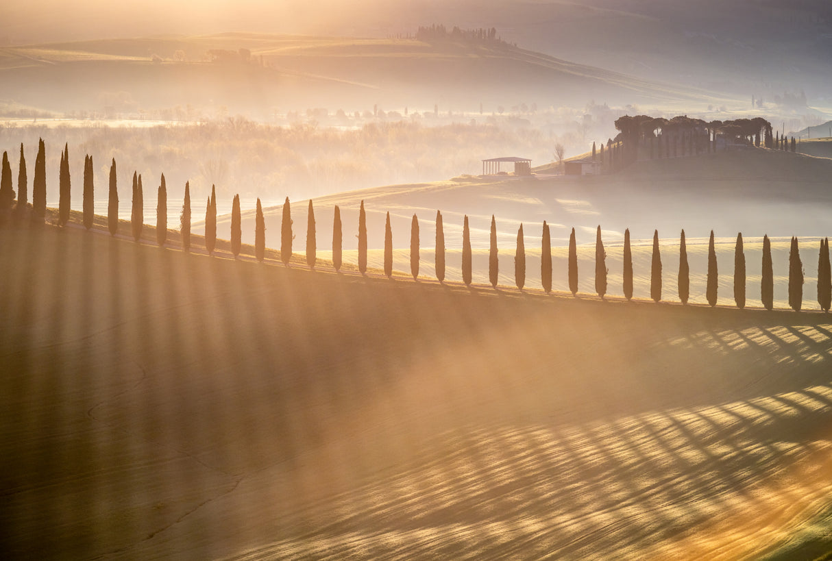 Tuscan Sunrise Poster och Canvastavla