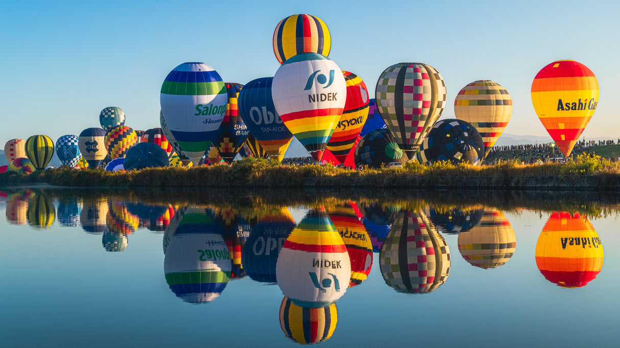 balloons Poster och Canvastavla