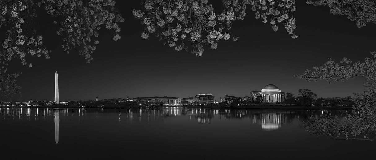 Cherry Blossoming Poster och Canvastavla