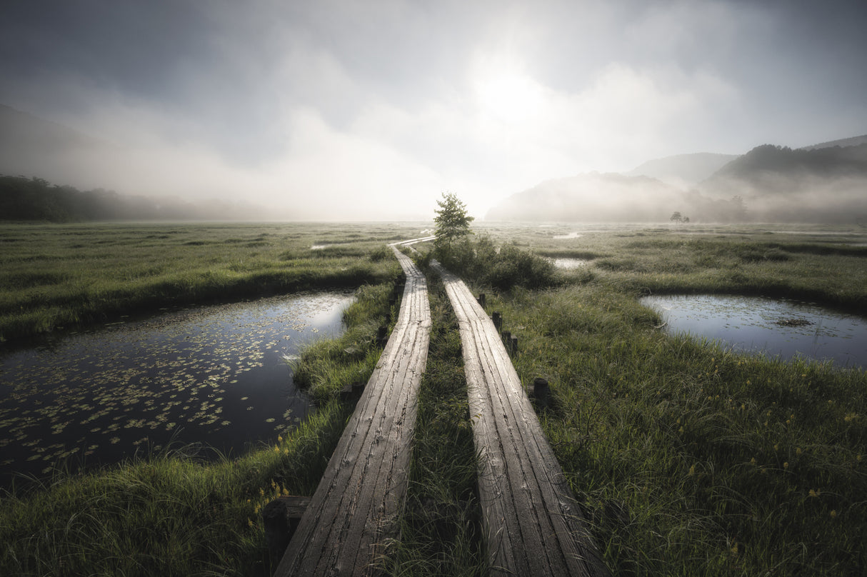 Into the foggy world Poster och Canvastavla