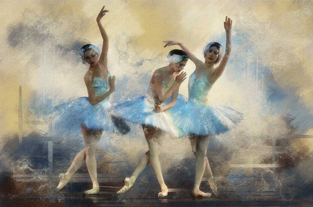 '...And then she dances so gracefully....' Poster och Canvastavla