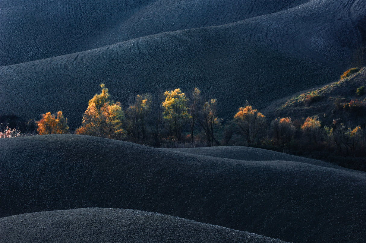 Tuscany Poster och Canvastavla