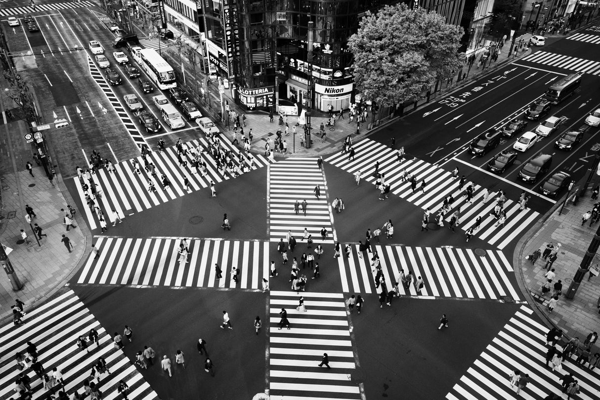 Ginza Poster och Canvastavla
