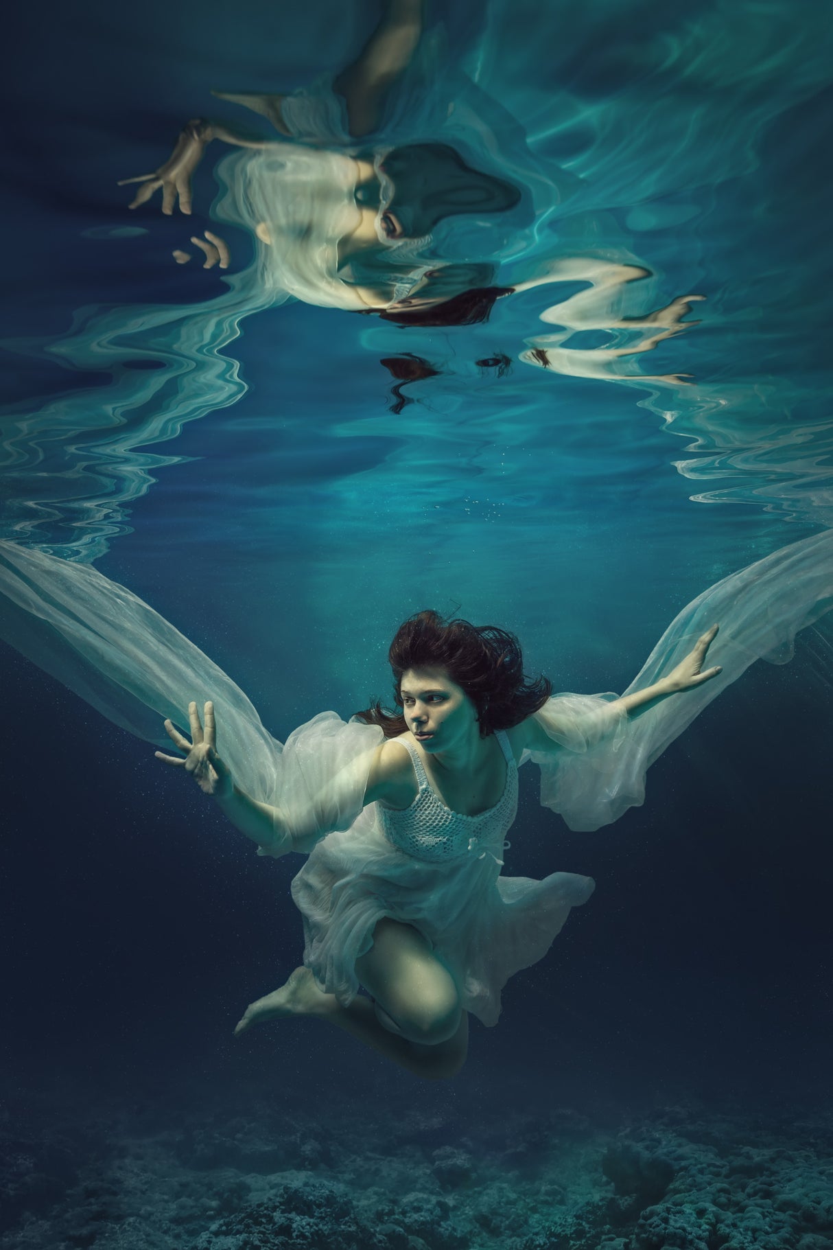 Underwater angel Poster och Canvastavla