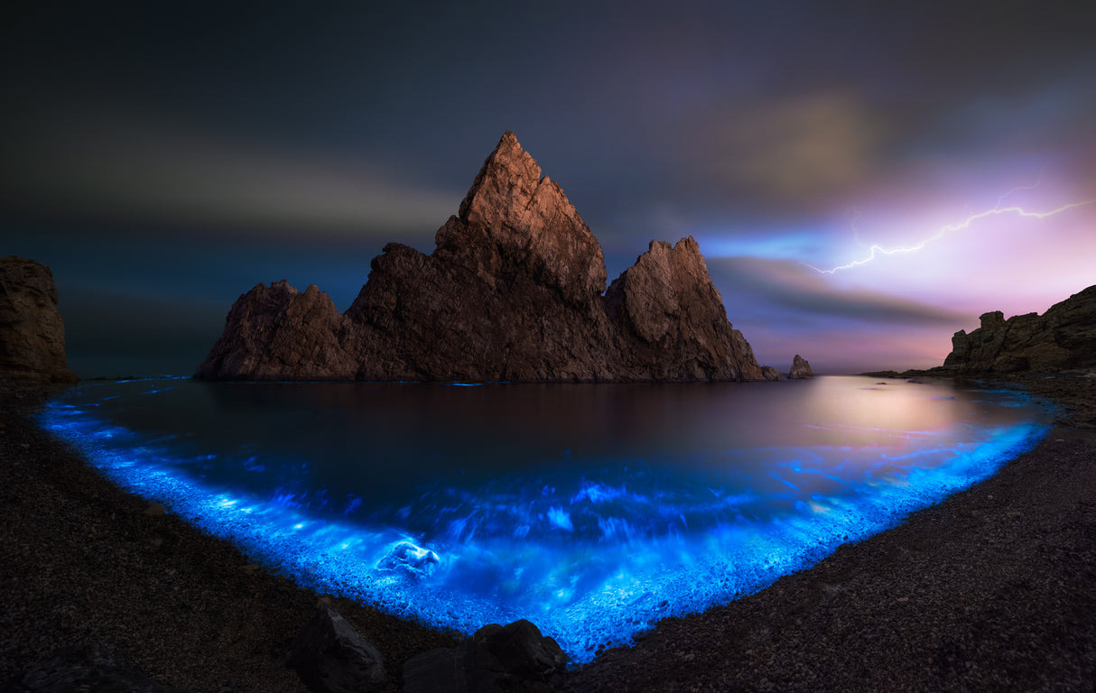 Fluorescent Sea Poster och Canvastavla