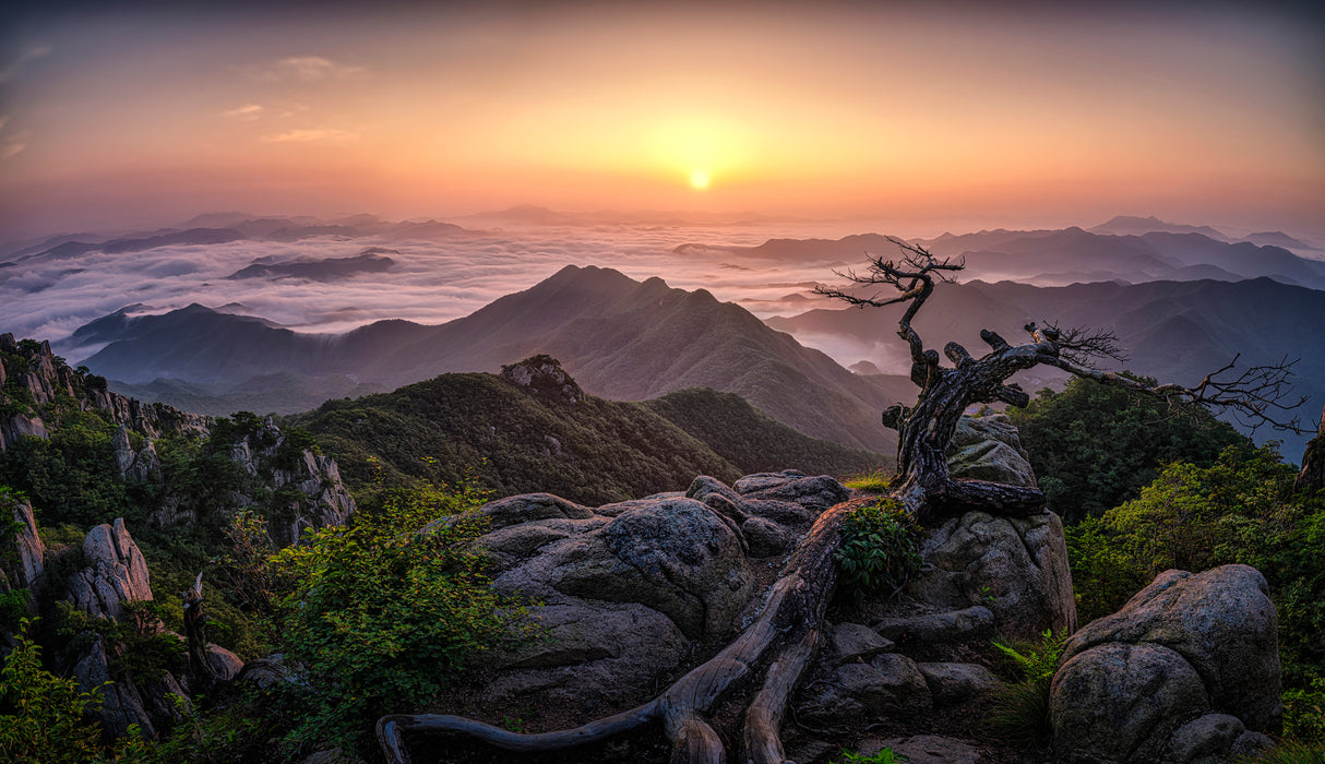 Sunrise on Top Poster och Canvastavla