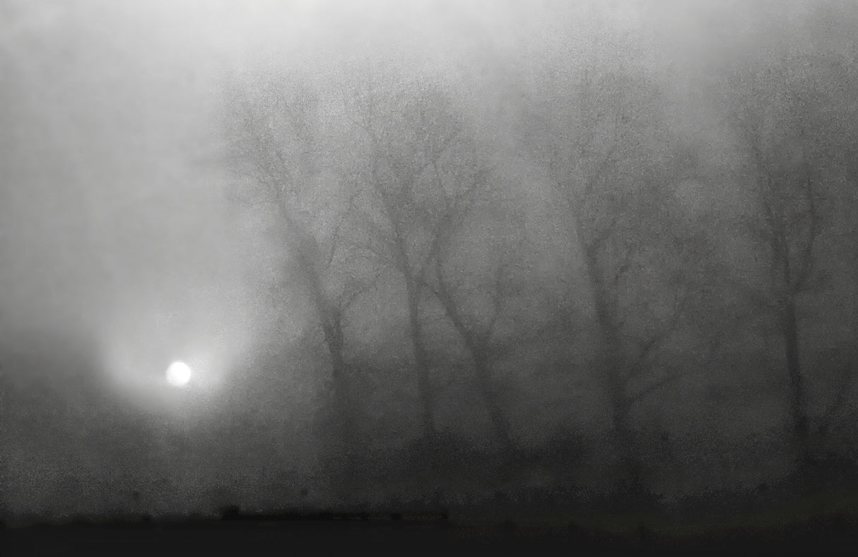 Across the morning mist, the light is pale Poster och Canvastavla