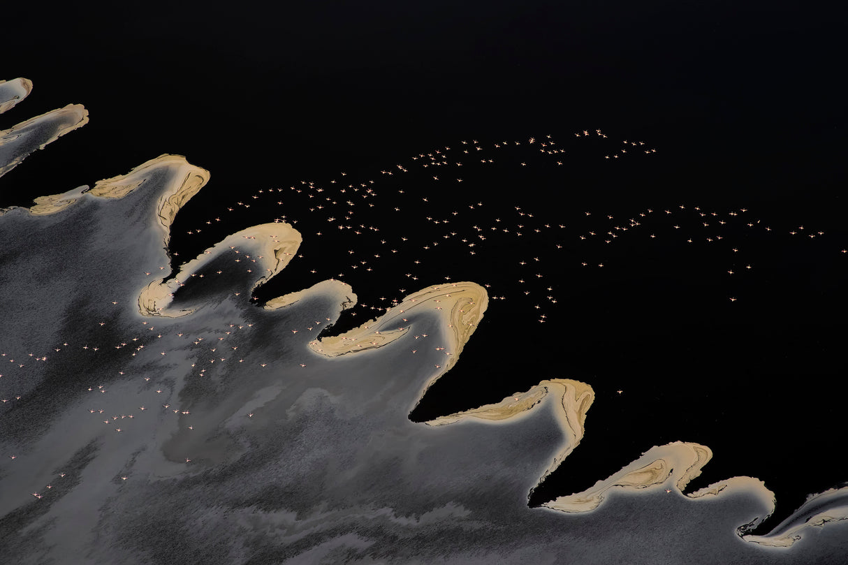Flying Over the Lake Poster och Canvastavla