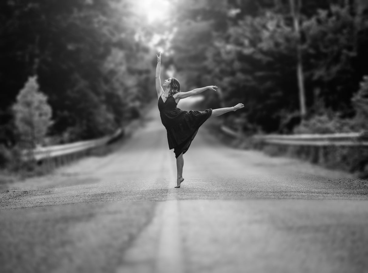 The Joy of Dance Poster och Canvastavla