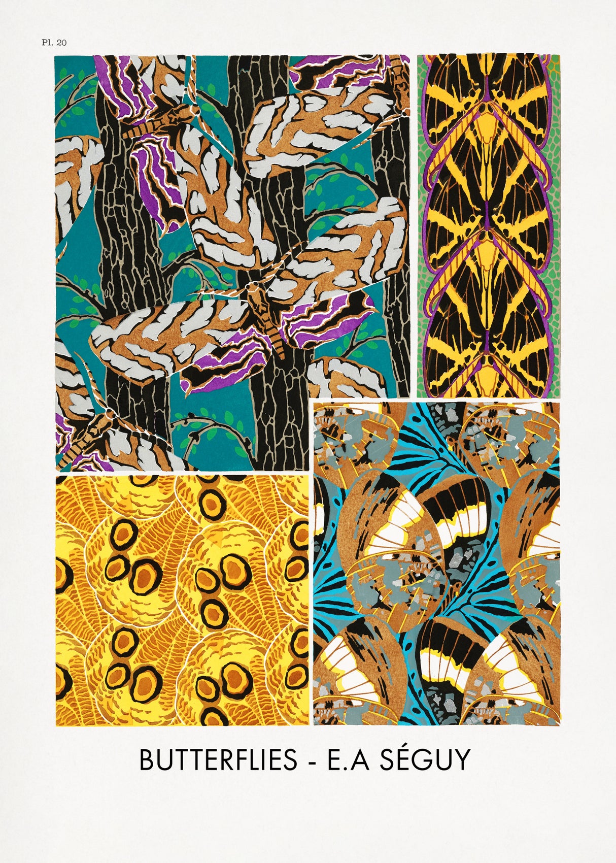 Butterflies 20 Poster och Canvastavla