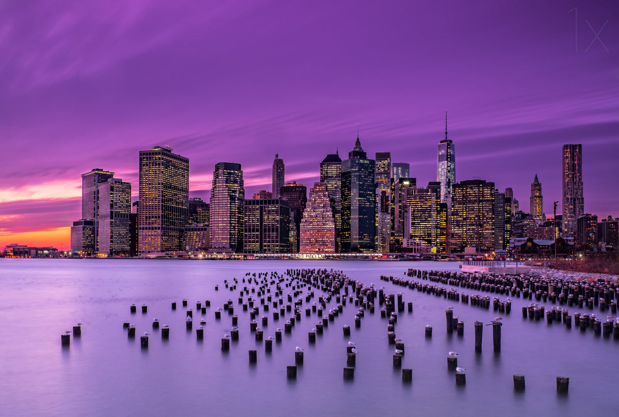 New York Violet Sunset Poster och Canvastavla
