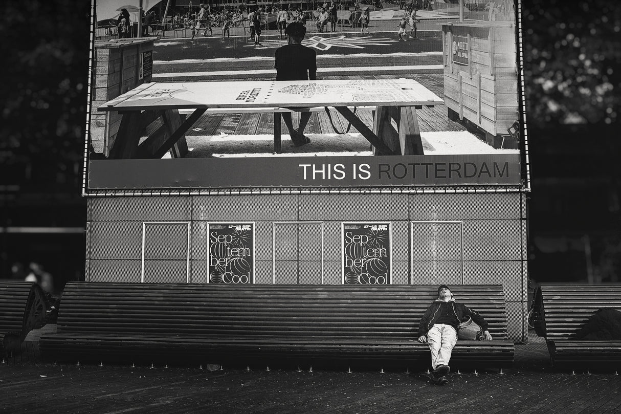 This is Rotterdam! Poster och Canvastavla