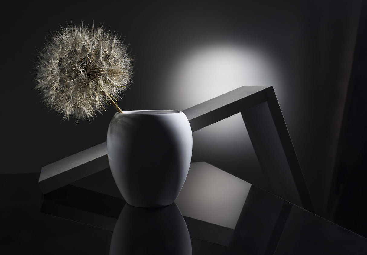 "Minimalism and the giant dandelion" Poster och Canvastavla