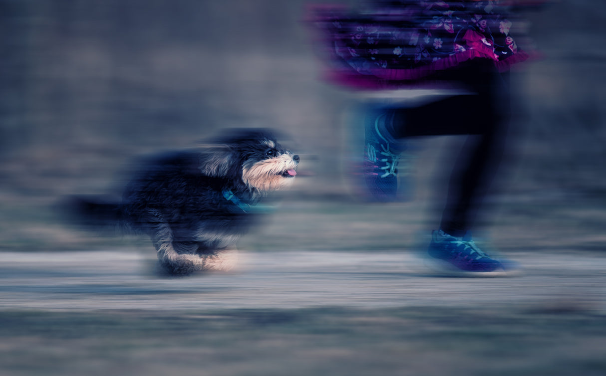 Running Poster och Canvastavla