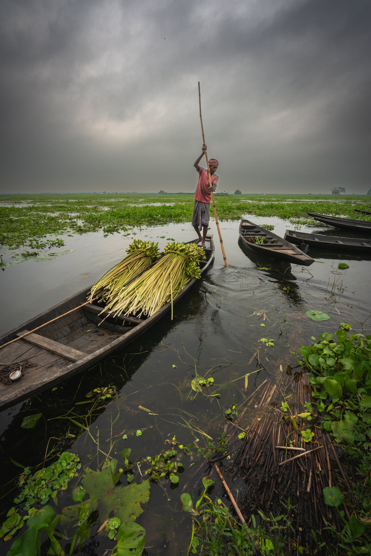 Wetland and boatman Poster och Canvastavla