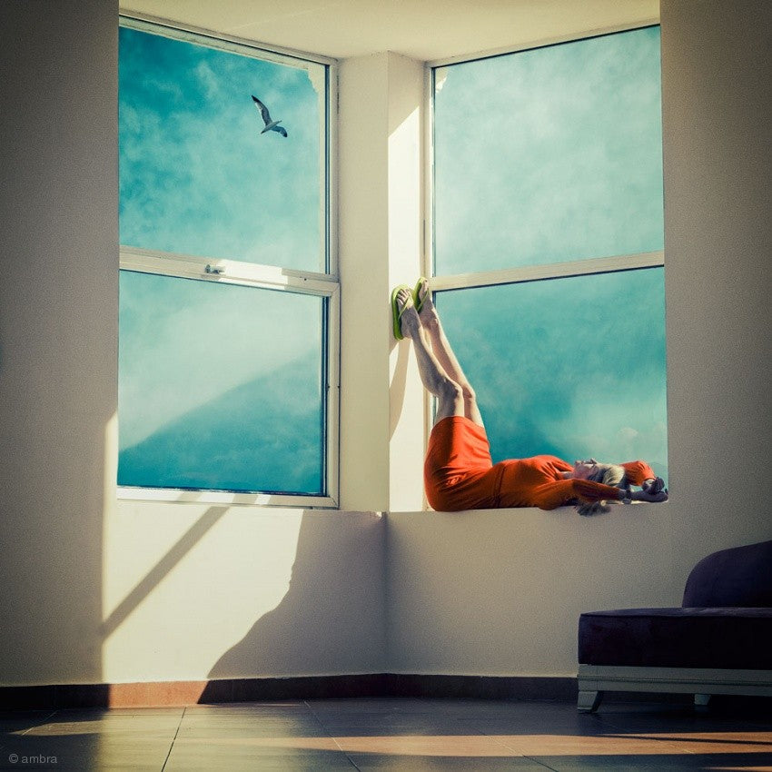 room with a view Poster och Canvastavla
