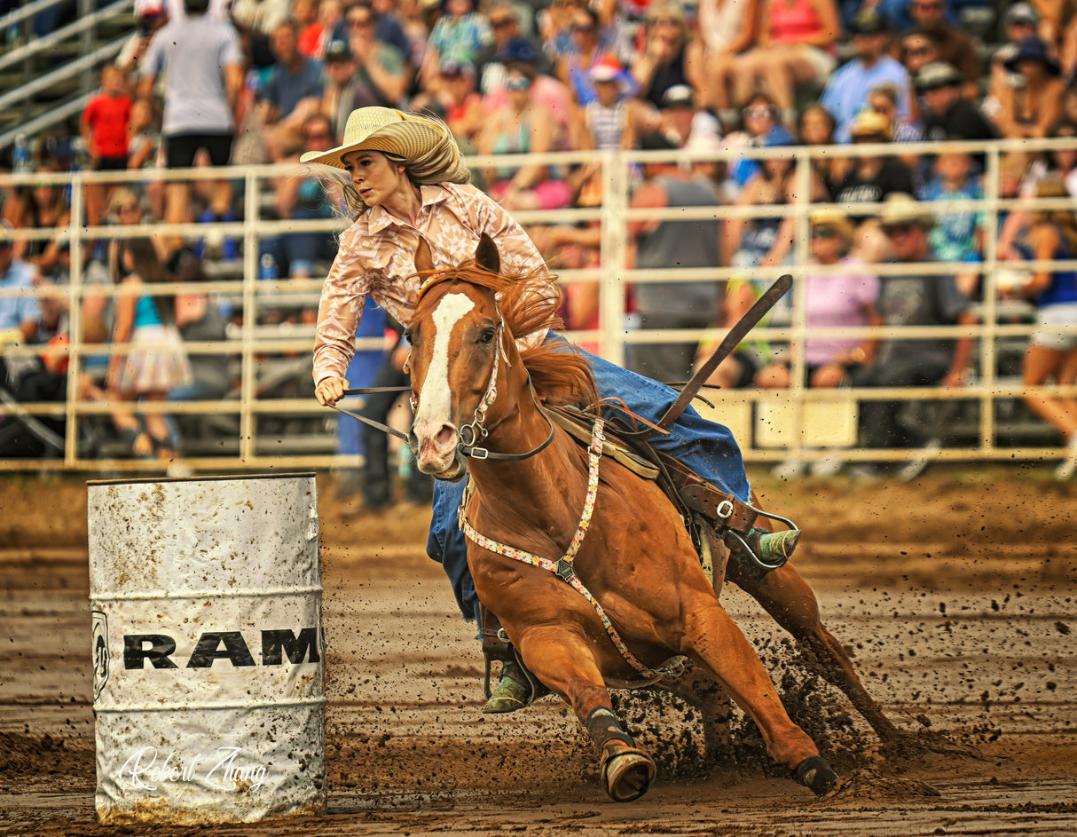 Barrel Racing Poster och Canvastavla