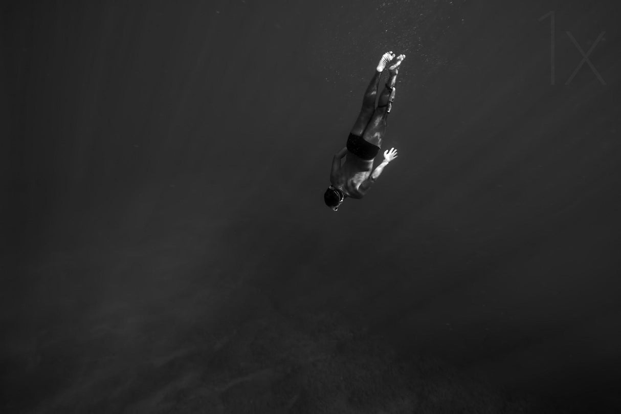 FreeDiver Poster och Canvastavla