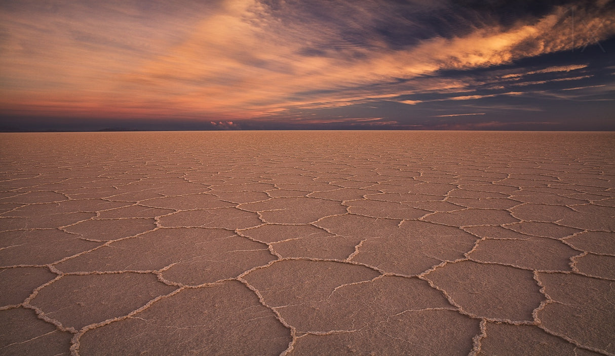 Solar de Uyuni Poster och Canvastavla