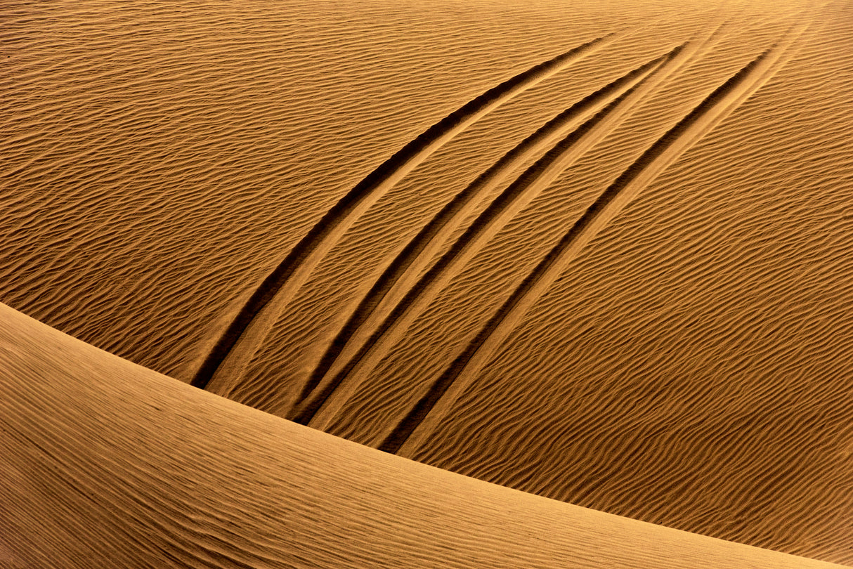 The Epoch of Man Poster och Canvastavla