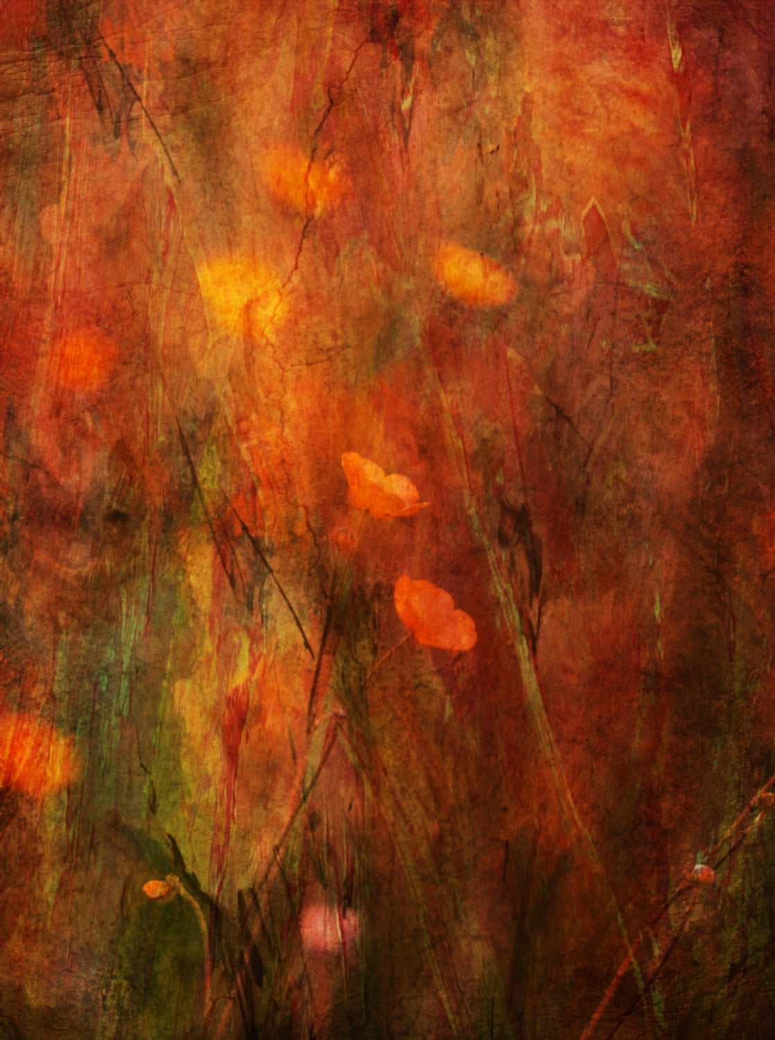 Warm Poster och Canvastavla