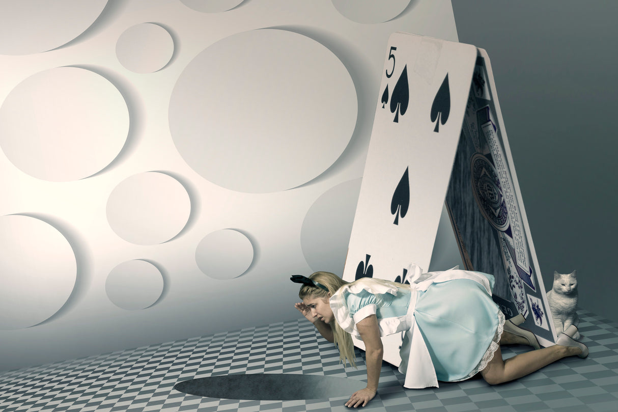 The rabbit hole Poster och Canvastavla