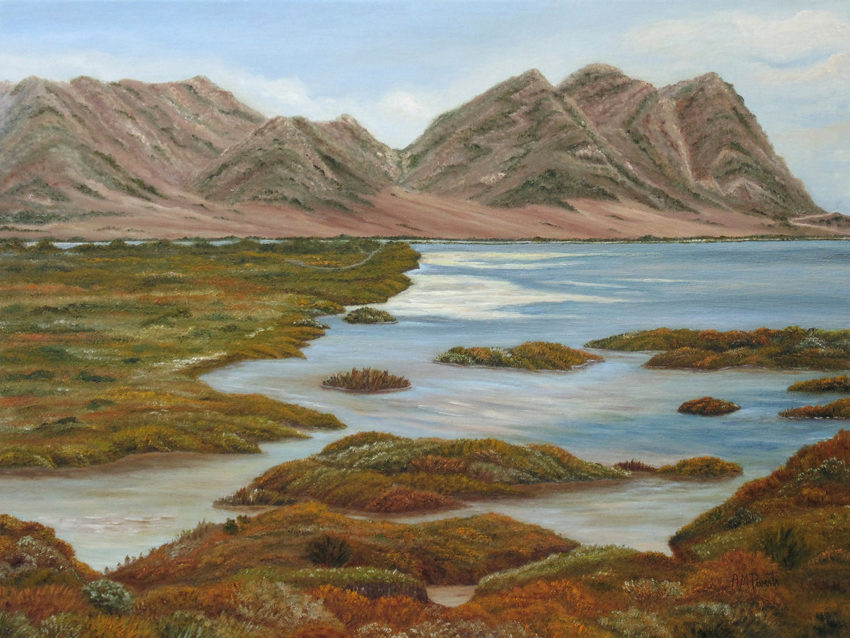 Salt Marsh Poster och Canvastavla