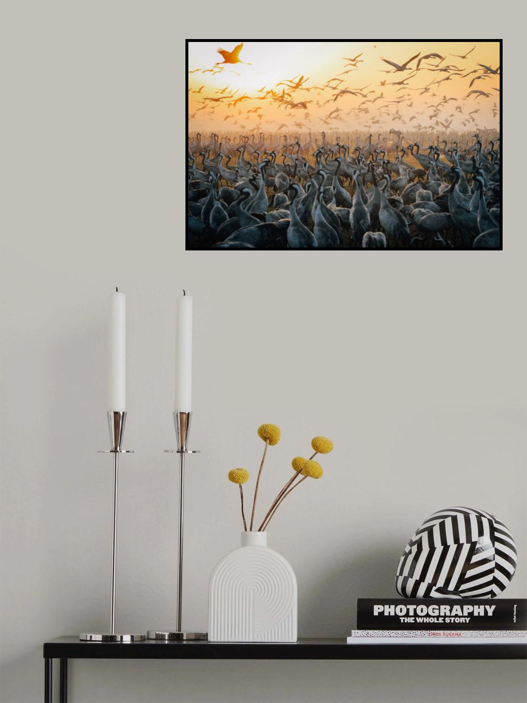 We left for freedom Poster och Canvastavla