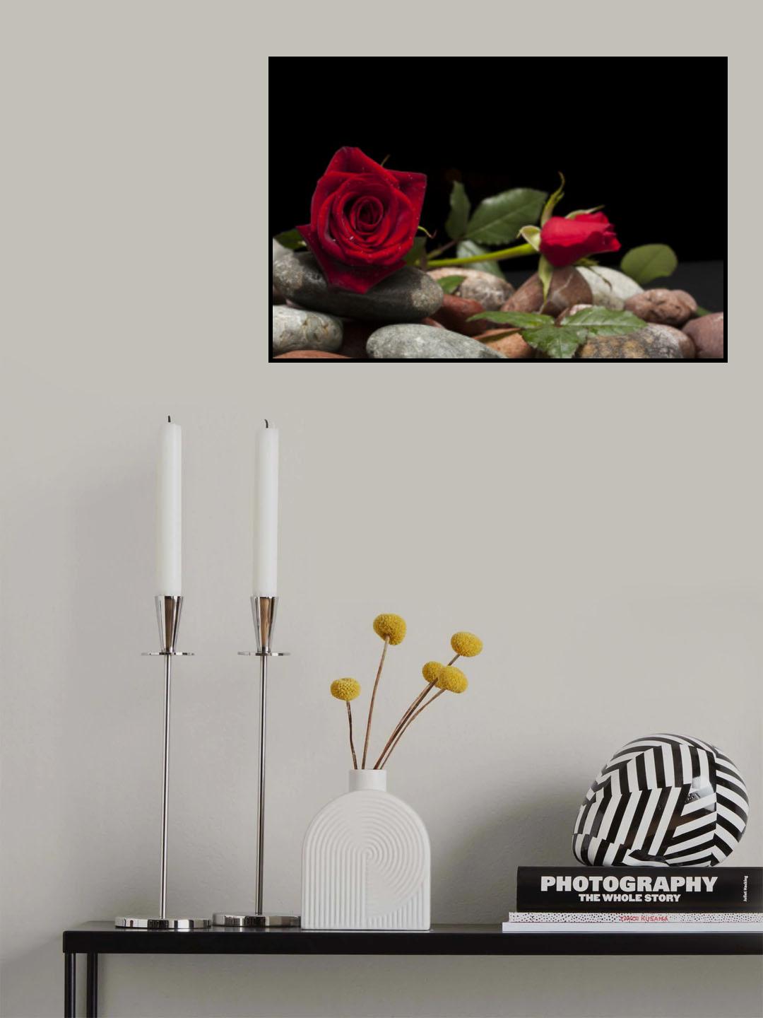 red rose Poster och Canvastavla
