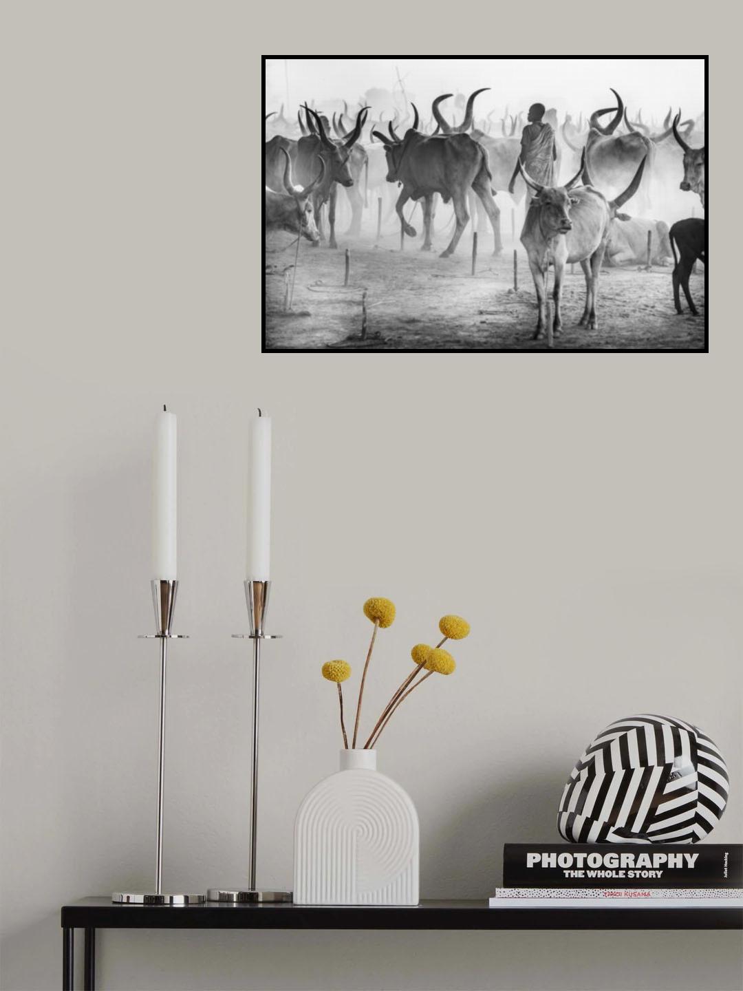 Biblical Poster och Canvastavla