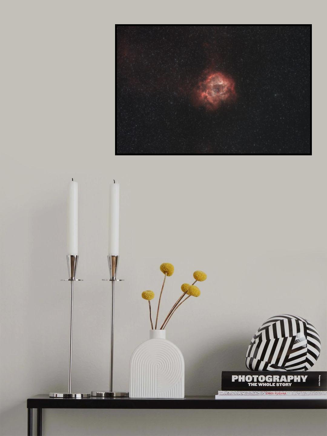 night sky rose Poster och Canvastavla