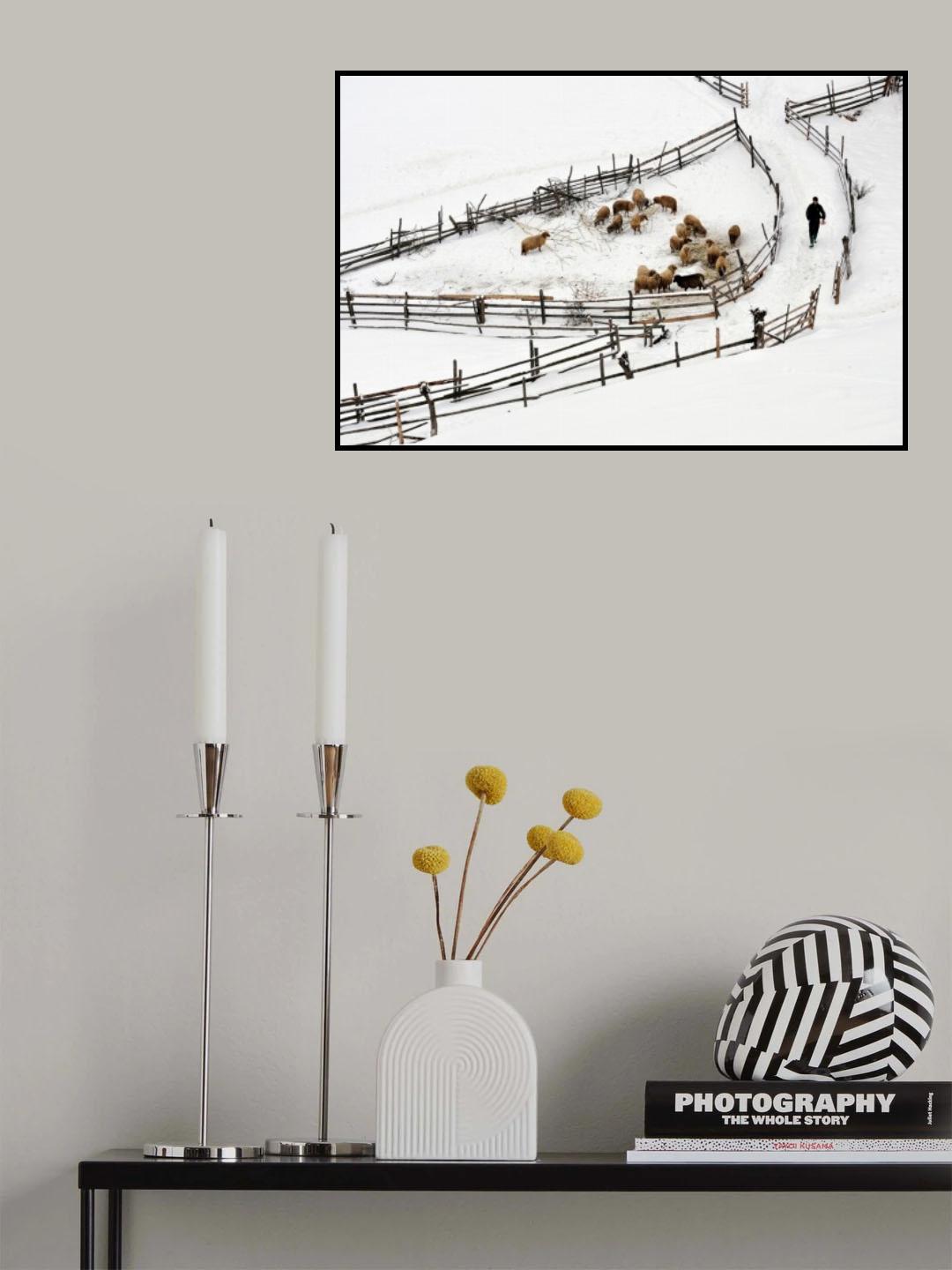 Protected Area Poster och Canvastavla