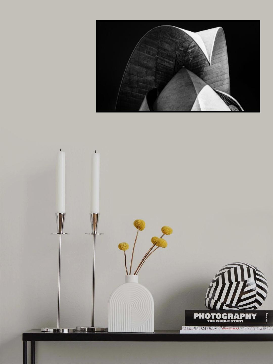 Shadow Poster och Canvastavla