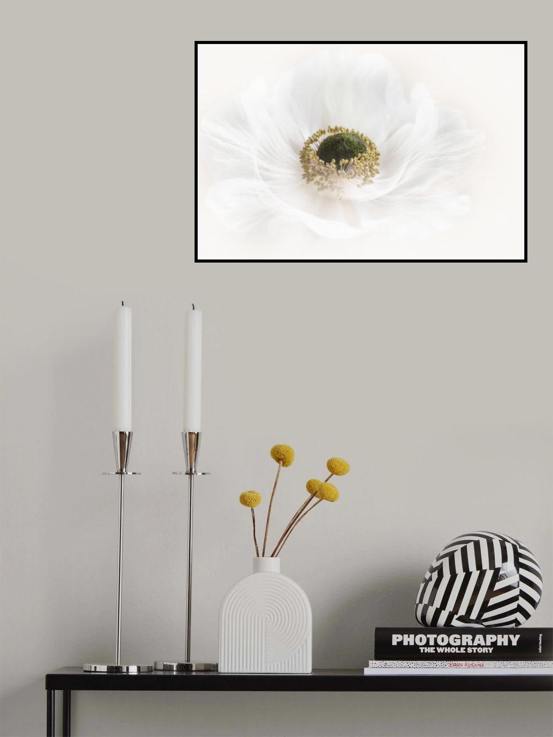 Pure Poster och Canvastavla