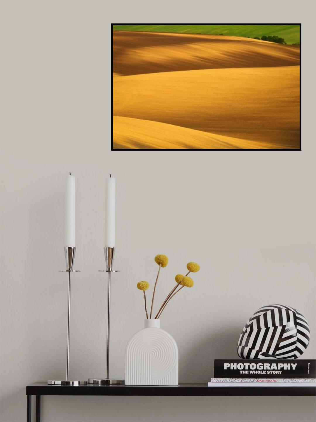 Fields... Poster och Canvastavla