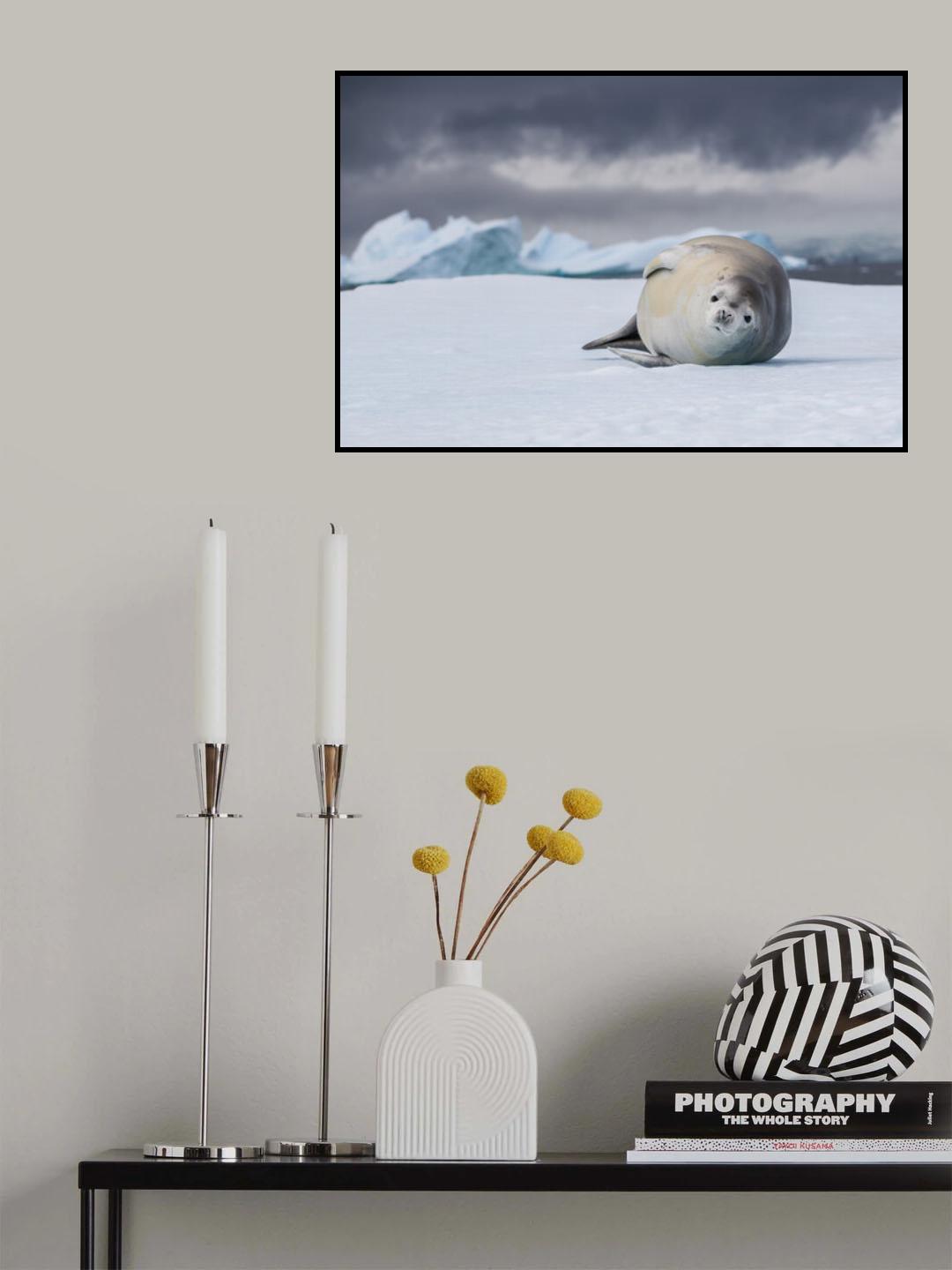 Who are you bro? Poster och Canvastavla