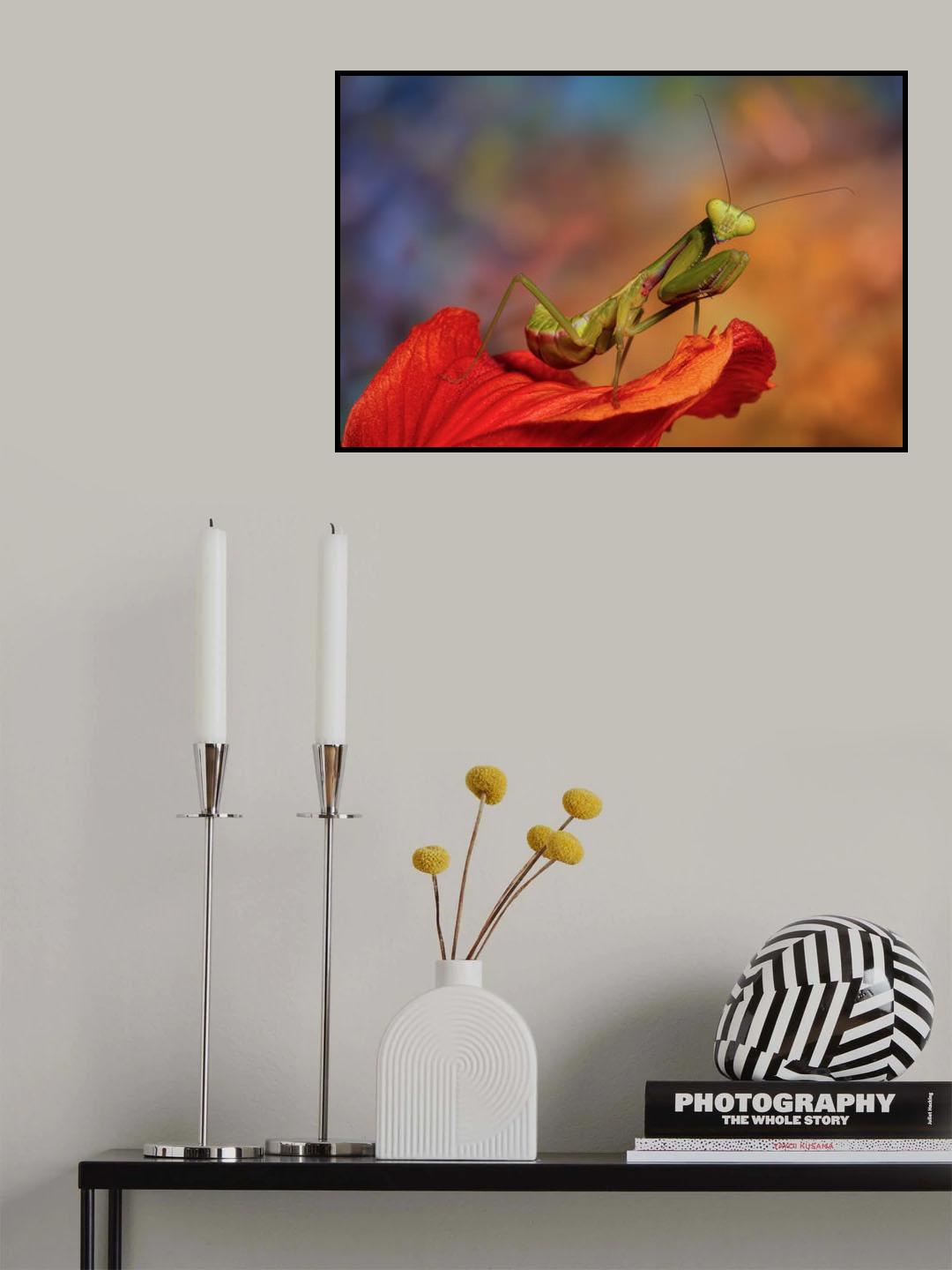 At sunset Poster och Canvastavla