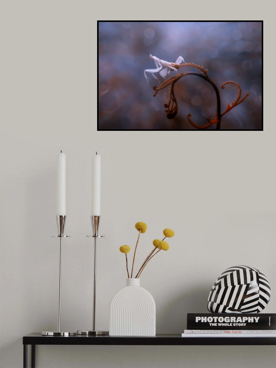 Orchid Mantis Poster och Canvastavla