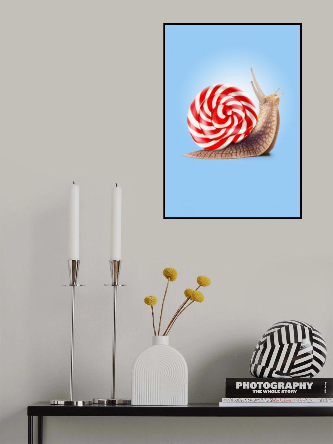 Snail Candy Poster och Canvastavla